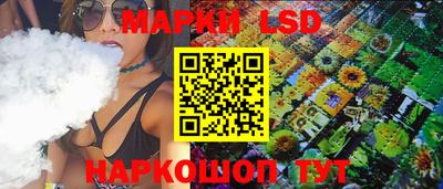 гидропоника Владимир