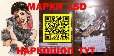гидропоника Владимир