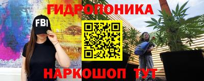 гидропоника Владимир