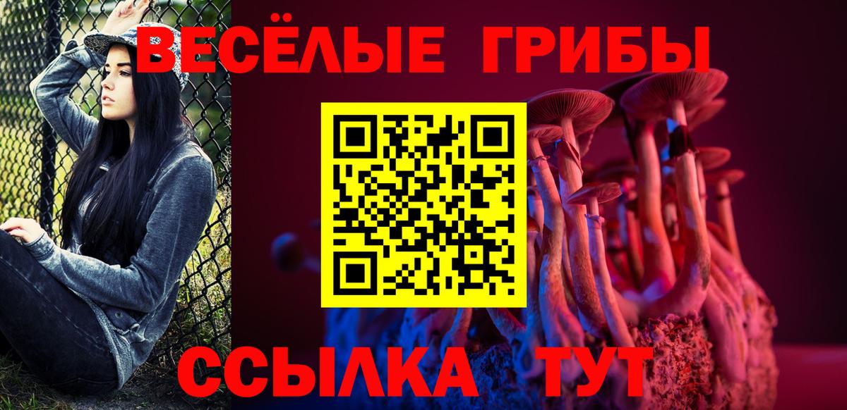 Псилоцибиновые грибы GOLDEN TEACHER Верхняя Салда
